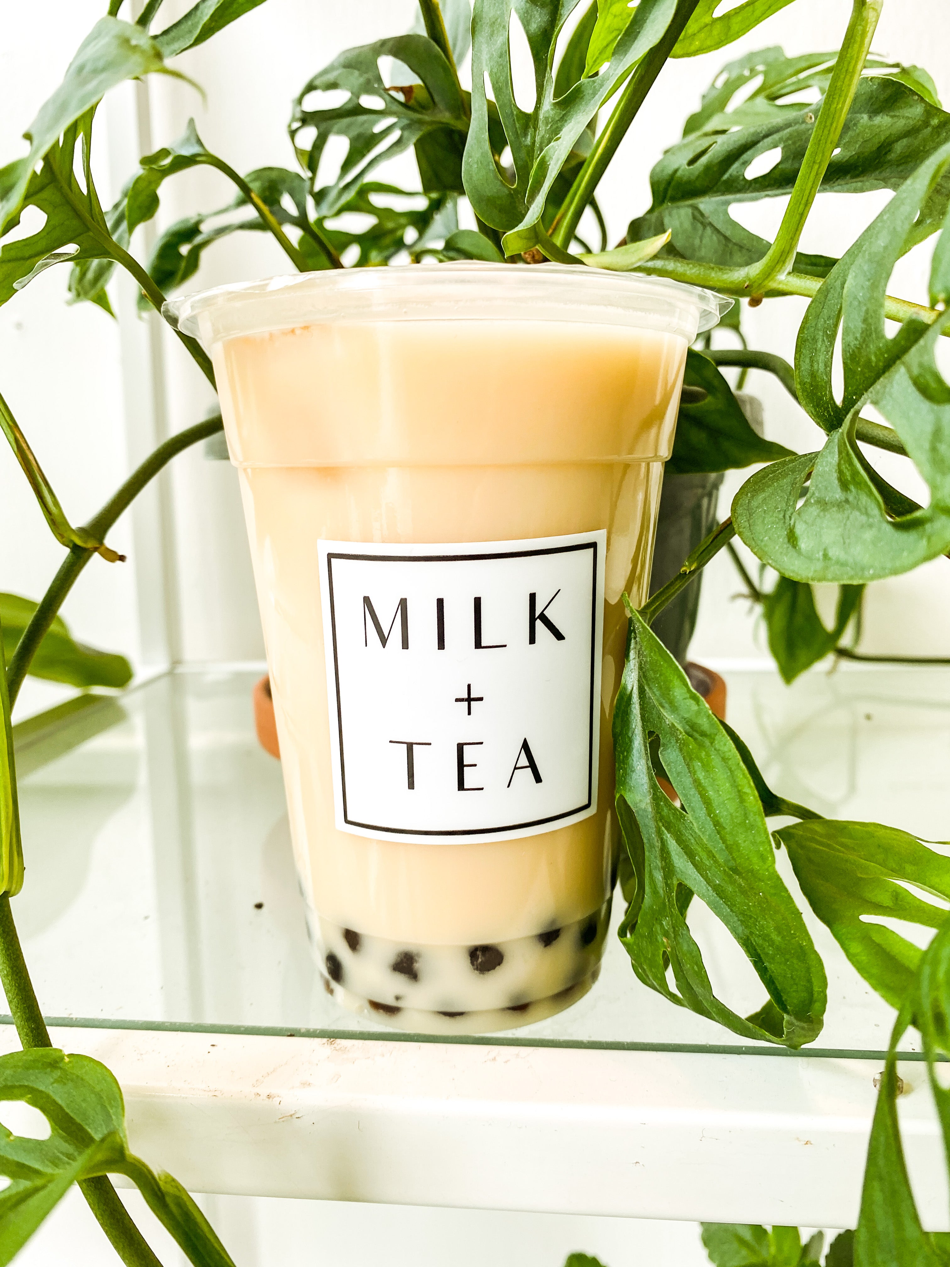 Milk Jasmine Green Tea